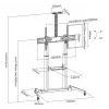 SBOX FS-3610 Grīdas statīvs īpaši lieliem LED televizoriem 60-100 100kg