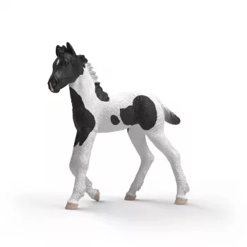 Schleich Horse Club Collectible Foal Rocky