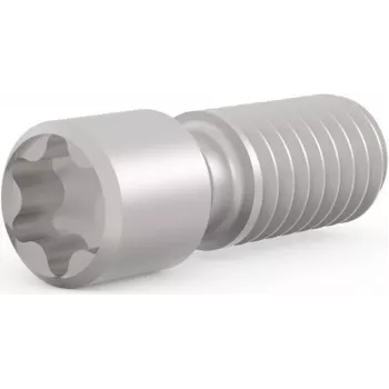 SCHROFF Iegremdētā skrūve M2.5 x 9 mm Torx T8, tērauds, 100 gab. (21102980)