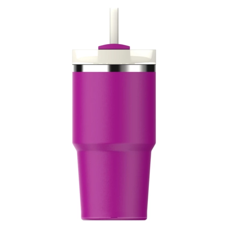 STANLEY The Quencher H2.O FlowState termoss ar salmiņu 0,59L violets