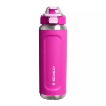Stanley Wellspring pudele 0,71L violeta vakuumā izolēta nerūsējošā tērauda