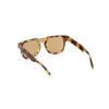 Sunglasses WEB EYEWEAR Man WE0315-0041F (Lens/Bridge/Temple) 00/0/145 mm