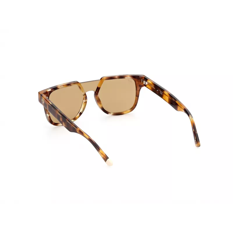 Sunglasses WEB EYEWEAR Man WE0315-0041F (Lens/Bridge/Temple) 00/0/145 mm