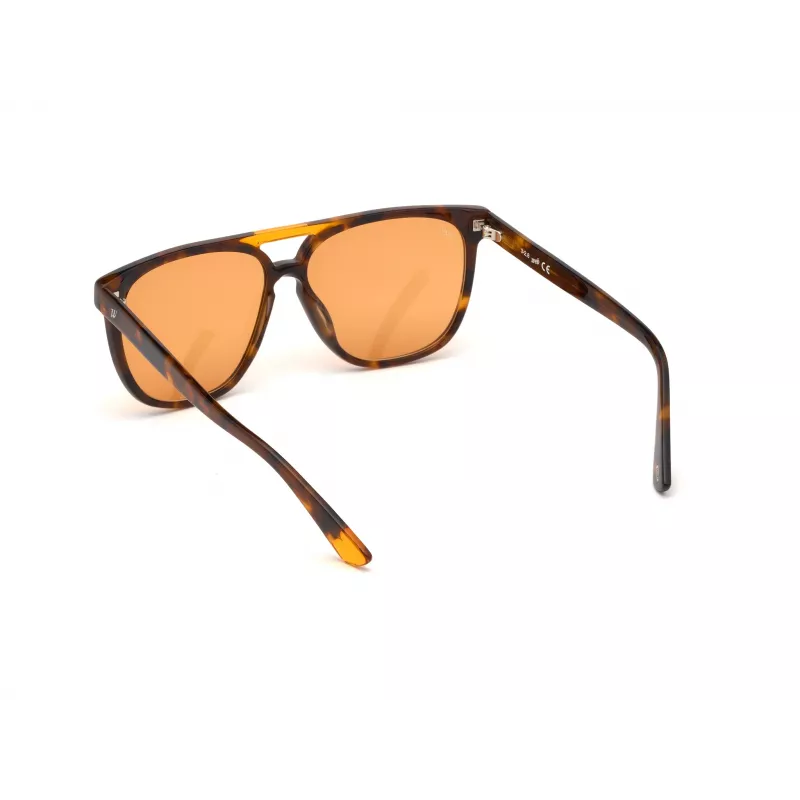 Sunglasses WEB EYEWEAR Unisex WE0263-5956J Square Havana Acetate Frame Green Polycarbonate Lens 59/13/145 mm UV400
