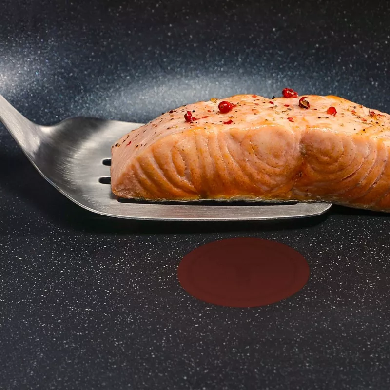 Tefal Expertise Plus 24 cm nepiedegoša panna ar Thermo-Spot