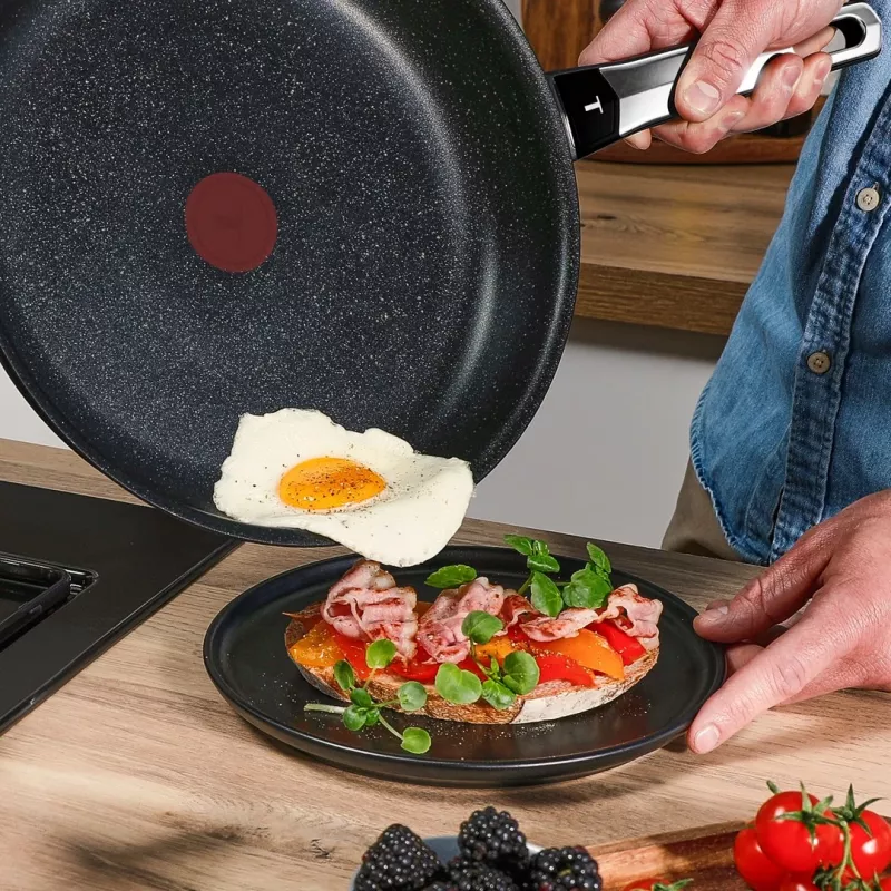 Tefal Expertise Plus 24 cm nepiedegoša panna ar Thermo-Spot