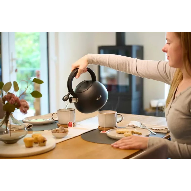 Tefal N4180410 Express Control nerūsējošā tērauda tējkanna 2.5 L indukcijas sudraba/melna