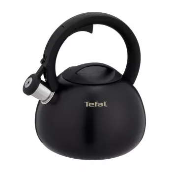 Tefal N4180410 Express Control nerūsējošā tērauda tējkanna 2.5 L indukcijas sudraba/melna