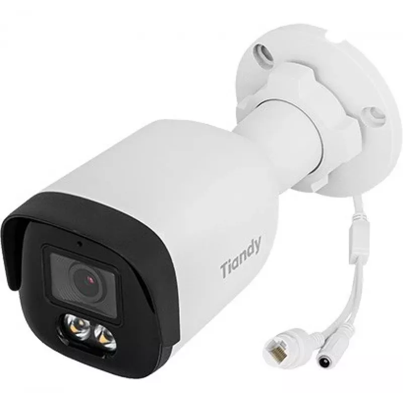 TIANDY TC-C34WP 4MP IR Kupola IP Kamera 2.8mm PoE