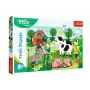 TREFL PUZZLE Puzle 24 Maxi Treflik Family Trefliki laukos Trefl 14361