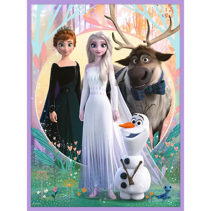 TREFL PUZZLE Puzle - 2in1 + Memo Princeses Savā Zemē - Disney Frozen 2 93335