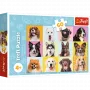 TREFL PUZZLE Puzles - 60 - Saldi kucēni