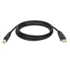 Tripp Eaton Tripp Lite Series USB 2.0 A to B kabelis (vīriešu/vīriešu)