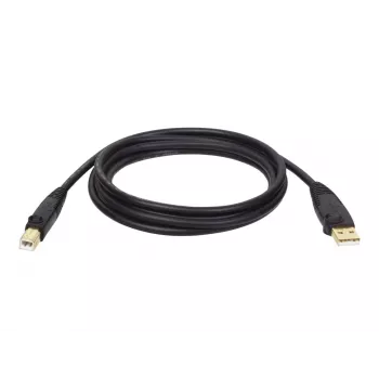 Tripp Eaton Tripp Lite Series USB 2.0 A to B kabelis (vīriešu/vīriešu)