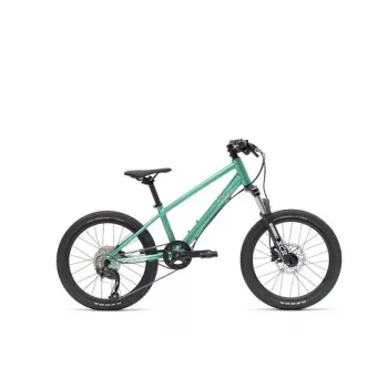 VAAST Y/1 Mountain Bike 20 Inch Gloss Teal – Junior MTB ar Super Magnesium rāmi