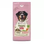 VERSELE-LAGA HappyLife Sausā barība suņiem ar jēru pieaugušiem suņiem 12.5kg