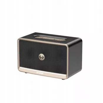 W-King H330 Pārnēsājams Bezvadu Bluetooth Skaļrunis 30W IPX6 Melns
