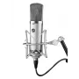 Warm Audio WA-67 caurules kondensatora mikrofons sudraba krāsā studijas mikrofons