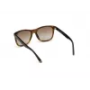 WEB EYEWEAR MAN WE0279-5652G Saulesbrilles Havana Green 56/19/145 mm