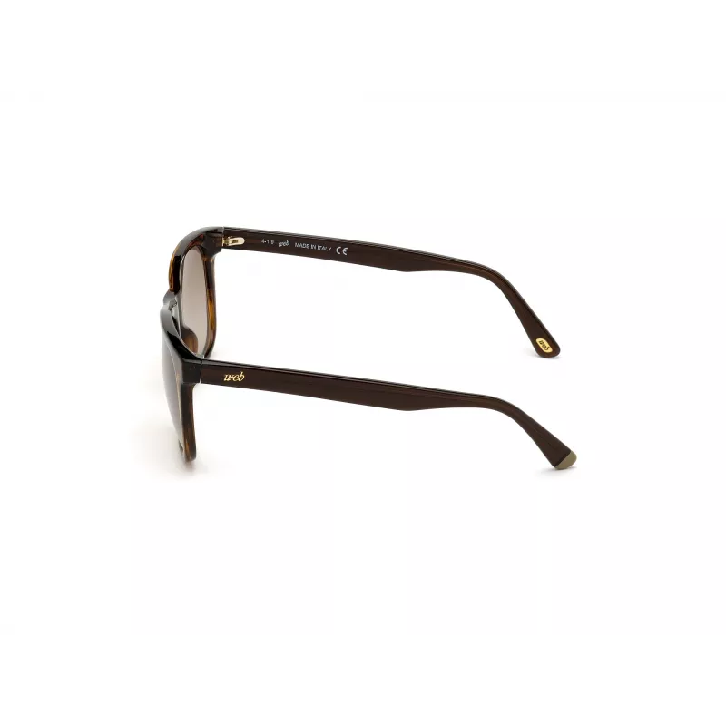 WEB EYEWEAR MAN WE0279-5652G Saulesbrilles Havana Green 56/19/145 mm