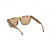 WEB EYEWEAR MAN WE0314-0041F Saulesbrilles Havana Acetāta Rāmis Brūns Gradienta Lēcas 54-19-145