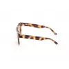 WEB EYEWEAR MAN WE0314-0041F Saulesbrilles Havana Acetāta Rāmis Brūns Gradienta Lēcas 54-19-145