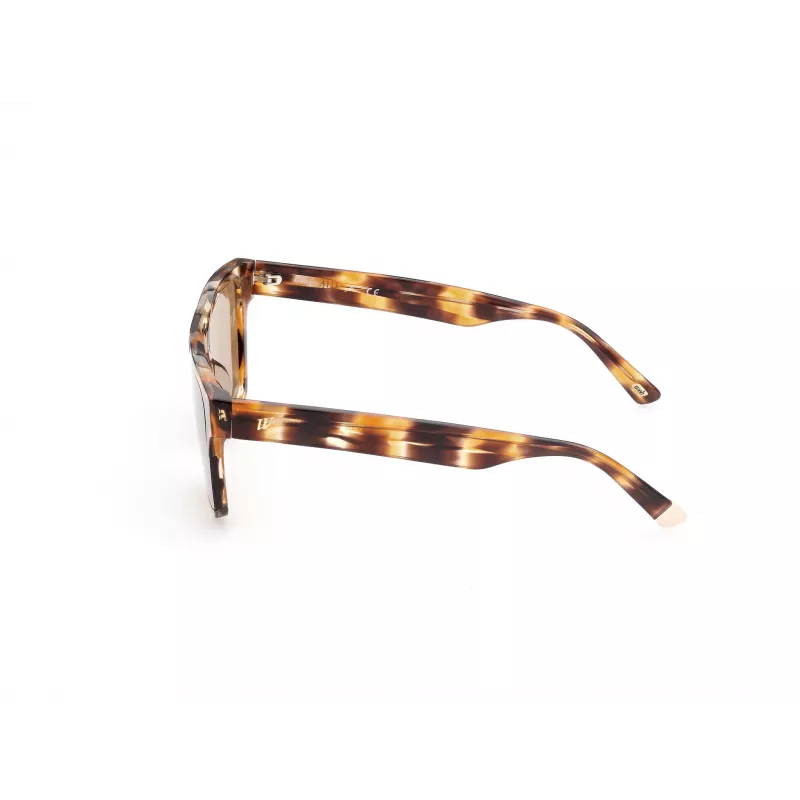 WEB EYEWEAR MAN WE0314-0041F Saulesbrilles Havana Acetāta Rāmis Brūns Gradienta Lēcas 54-19-145