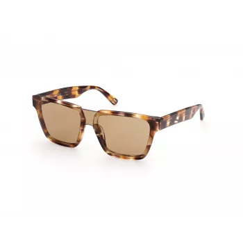 WEB EYEWEAR MAN WE0314-0041F Saulesbrilles Havana Acetāta Rāmis Brūns Gradienta Lēcas 54-19-145