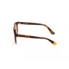 WEB EYEWEAR Unisex WE0262-5156J Taisnstūra acetāta saulesbrilles Havana/Brūns gradients lēcas 51/19/145 mm UV400