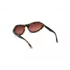 WEB EYEWEAR Sieviešu saulesbrilles WE0288-6052F Havana Grey Gradient 60/18/125 mm