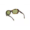WEB EYEWEAR Sieviešu saulesbrilles WE0289-5652N Havana Acetāta Kvadrātveida Rāmis Brūnas Gradienta Lēcas 56/19/130 mm