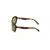 WEB EYEWEAR Sieviešu saulesbrilles WE0289-5652N Havana Acetāta Kvadrātveida Rāmis Brūnas Gradienta Lēcas 56/19/130 mm