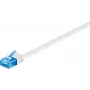 Wentronic 96314 1m Cat6a U/UTP balts tīkla kabelis