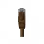 Wentronic Goobay CAT 6 plakans tīkla kabelis, U/UTP, tumši brūns, 0,5 m, varš 95889