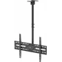 WENTRONIC Goobay TV griestu stiprinājums XL 80175