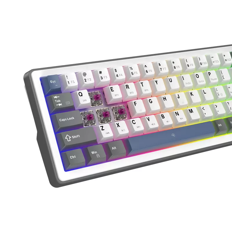 White Shark EXCALIBUR M mehāniskā tastatūra (GK-009251) ar Outemu Blue slēdžiem, RGB fona apgaismojumu, ASV izkārtojumu, baltā krāsā