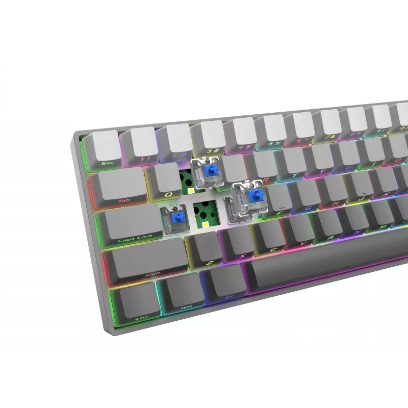 White Shark Nunchaku mehāniskā spēļu tastatūra TKL, pelēka, Outemu Blue slēdži, RGB Hot-Swap, vadu USB