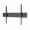 WINX MOUNT SIMPLE TV kronšteins 14–42 collu ekrāniem, fiksēts sienas stiprinājums, VESA 75x75 līdz 200x200, 25 kg slodze, melns