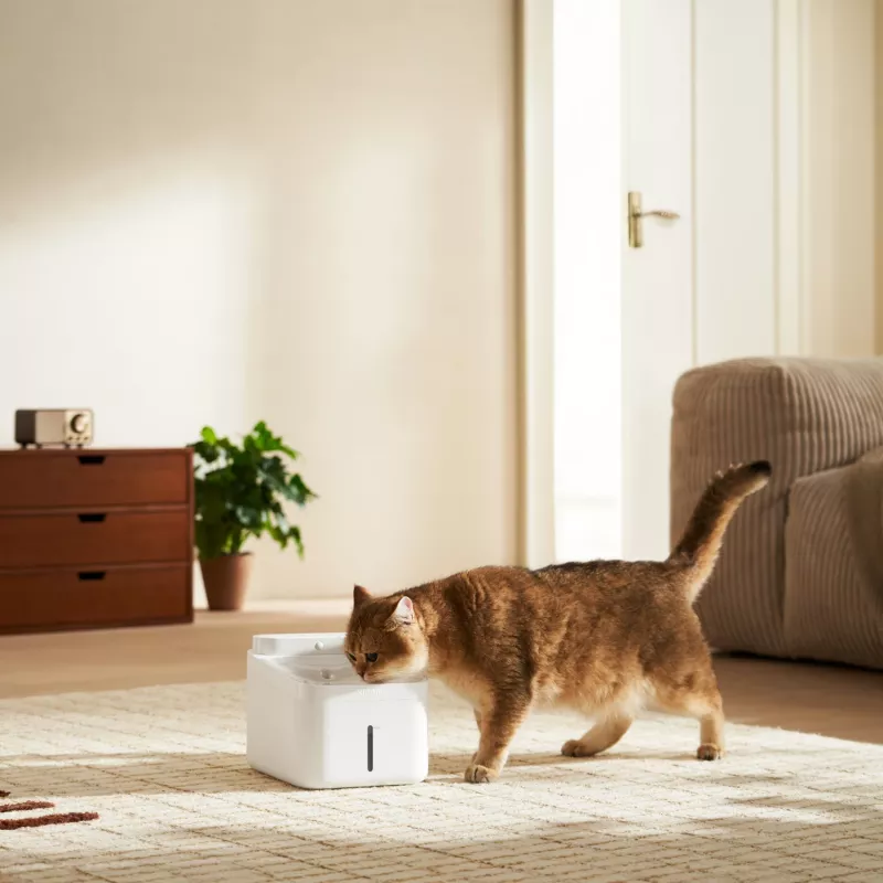 Xiaomi Smart Pet Fountain 2 - 2L automātiskais ūdens dispenseris kaķiem un suņiem ar četrkāršu filtrāciju, lietotnes vadību, klusu sūkni, balts