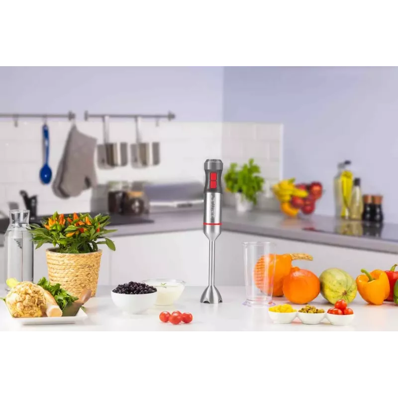 Zelmer ZHB4650 Vario rokas blenderis (1000W, nerūsējošais tērauds, melns/sudrabs)