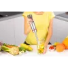 Zelmer ZHB4650 Vario rokas blenderis (1000W, nerūsējošais tērauds, melns/sudrabs)