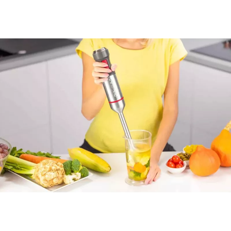 Zelmer ZHB4650 Vario rokas blenderis (1000W, nerūsējošais tērauds, melns/sudrabs)