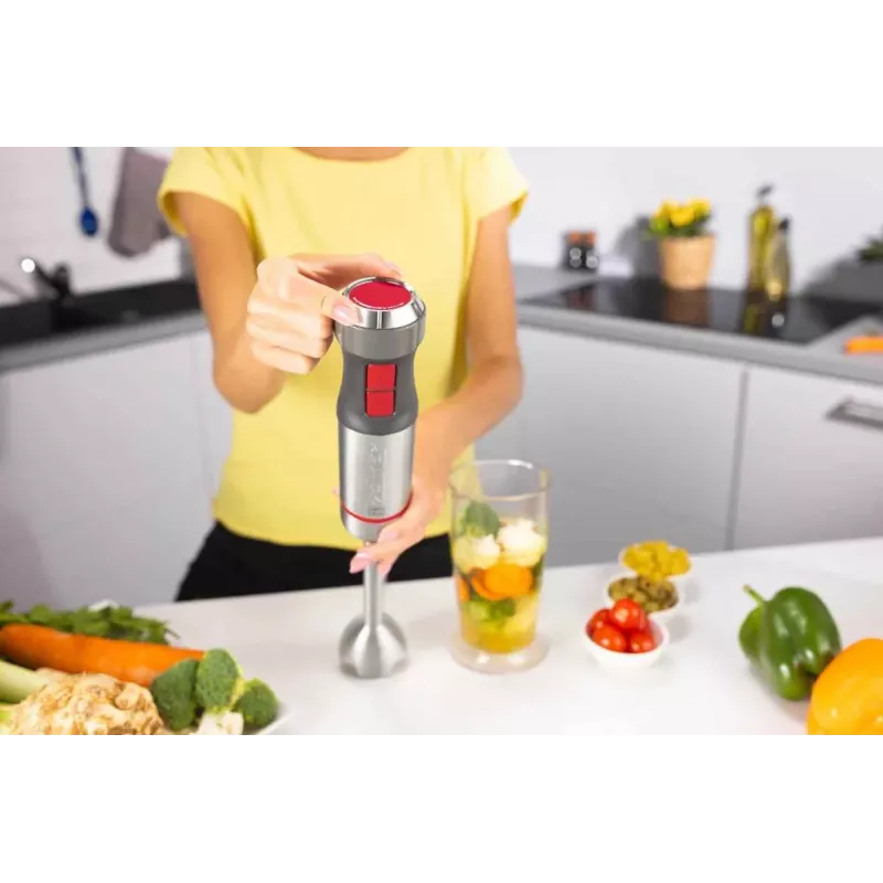 Zelmer ZHB4650 Vario rokas blenderis (1000W, nerūsējošais tērauds, melns/sudrabs)