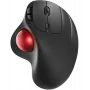 Perixx 11568 pele labā RF bezvadu+USB Type-A lāzers 1000 DPI (11568)